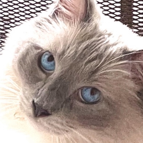 A bit of this n that - Picture 3 of 12